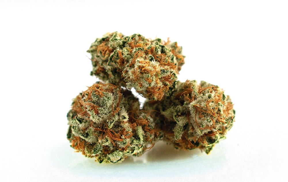 Grape Kush Infos Variétés